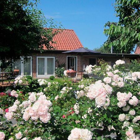 "Rosenkate 1" Apartamento Riepsdorf Exterior foto