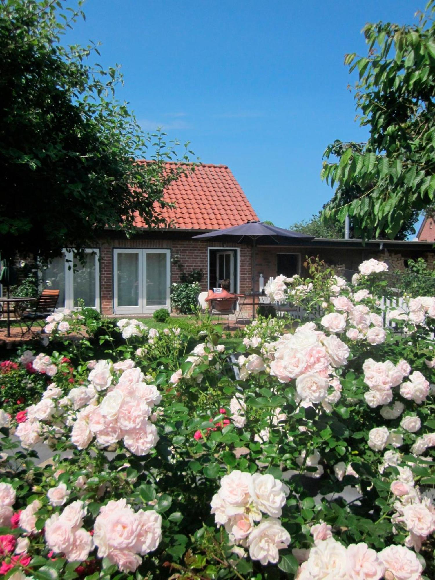"Rosenkate 1" Apartamento Riepsdorf Exterior foto